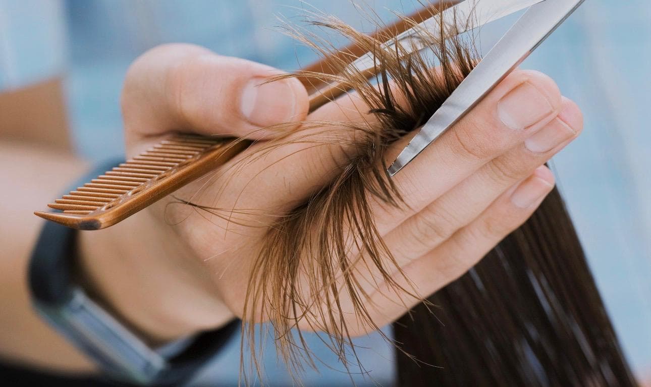 Coupe des pointes